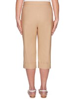 Alfred Dunner® Classic Allure Stretch Clamdigger Capri thumbnail number 7