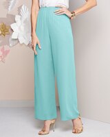 Special Occasion Chiffon Pull-On Pants by Alex Evenings thumbnail number 1
