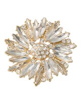 Glitz and Glam Brooch thumbnail number 1