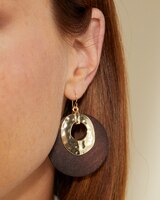 Radiant Rings Earrings thumbnail number 2