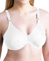 Full Figure Minimizer Bra thumbnail number 1