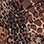 Amazing Animal Print Long Sleeve Jacket