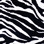 Foxcroft® Zebra Print Shirt