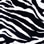 Foxcroft® Zebra Print Shirt