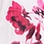 Floral Chiffon Dress