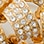 Glamorous Gifting Brooch