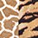 Alfred Dunner® Split Neck Animal Patch Top