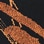 JetSet Stencil Leaf Dress