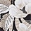 Alfred Dunner® Classics Floral Geometric Crewneck Top with Necklace